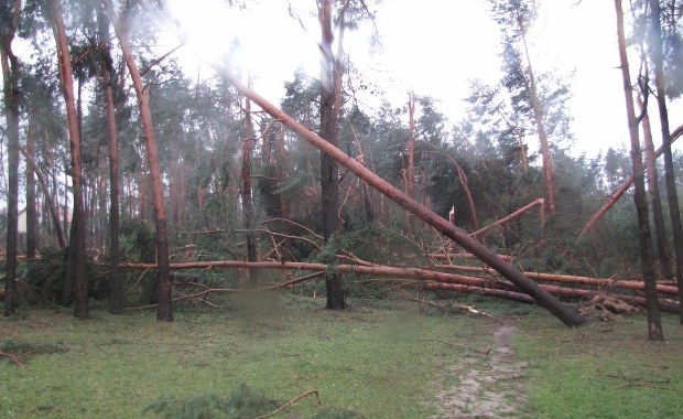 Nocne nawałnice przeszły nad Polską. Rannych 9 osób