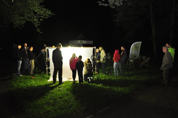 Nocne świecenie, czyli bezkrwawe łowy nocnych motyli /Zielona Łódź /Materiały prasowe