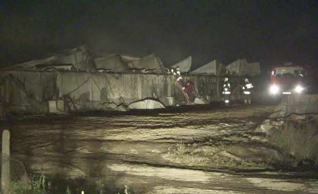 Nocny pożar chlewni na Podlasiu. Spłonęło ponad 2,5 tys. świń