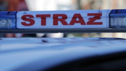 Nocny pożar zabytkowego pałacu. Ewakuowano 31 osób