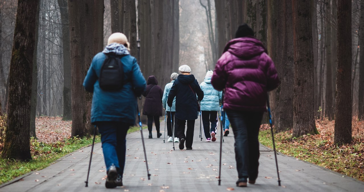 Nordic walking cieszy się dużą popularnością wśród osób w różnym wieku. Projekt "Nordic Walking Senior" to świetny sposób na aktywizację seniorów. Co warto wiedzieć o tym darmowym projekcie? /Pixel