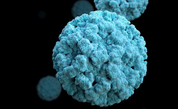 Norowirus złapany na gorącym uczynku