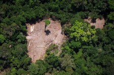 Norwegia wstrzymała dotację na fundusz ochrony Puszczy Amazońskiej
