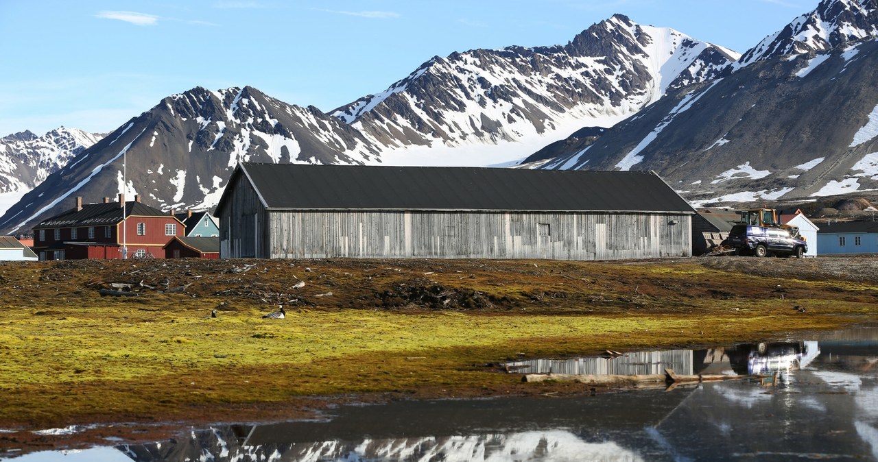 Norwegowie nie chcą sprzedać działki na arktycznej wyspie komukolwiek. Rząd pilnie nadzoruje nawet prywatną własność /Zhao Dingzhe/Xinhua News/East News /East News