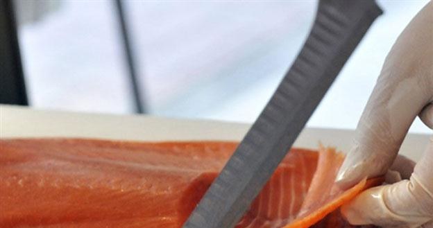 Norwegowie sprzedają za granicę głównie łososia hodowlanego /AFP