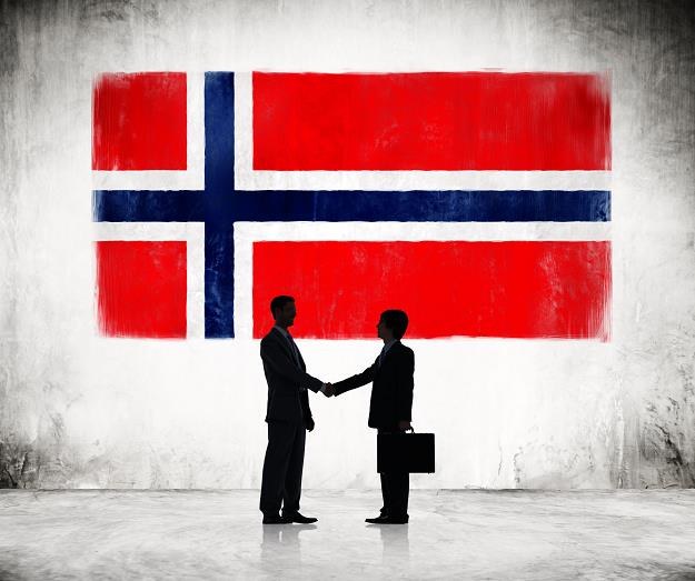 Norweska gospodarka potrzebuje zagranicznych wykonawców /&copy;123RF/PICSEL