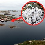 Norweski archipelag tonie w śmieciach. Plastik jest dosłownie wszędzie