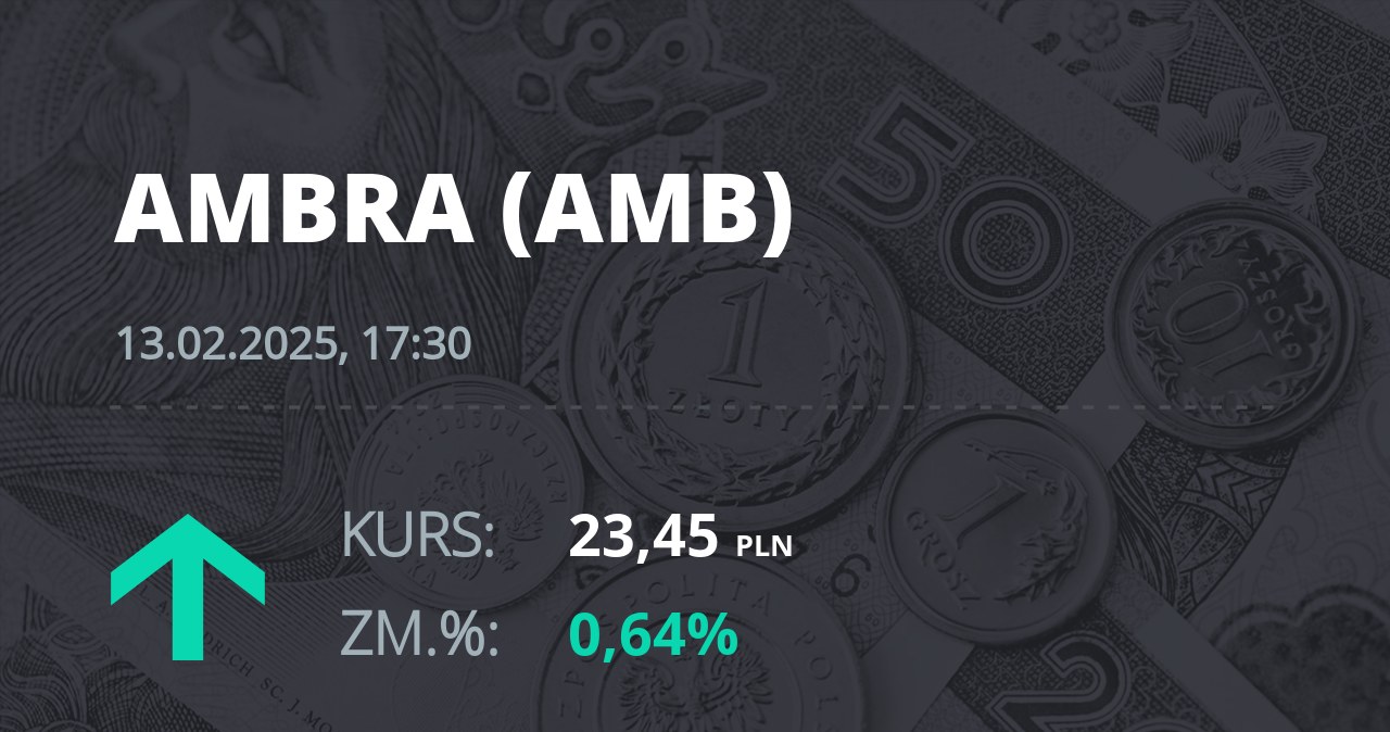 Notowania akcji spółki Ambra z 13 lutego 2025 roku