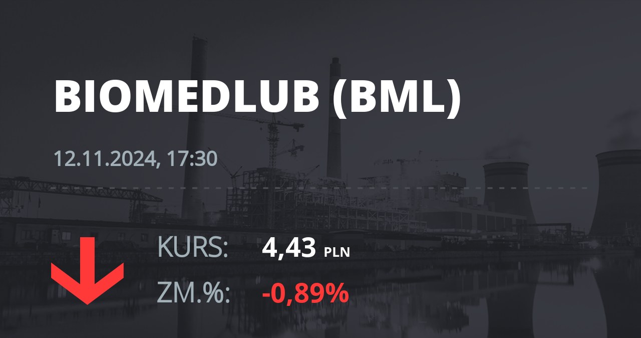 Notowania akcji spółki BML z 12 listopada 2024 roku