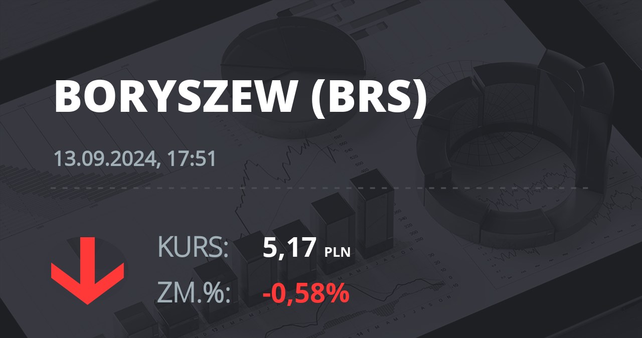 Notowania akcji spółki Boryszew z 13 września 2024 roku