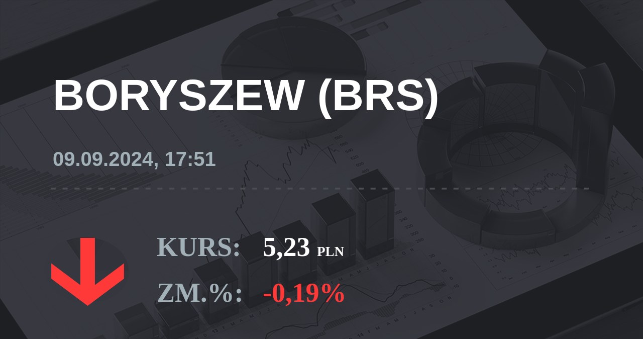 Notowania akcji spółki Boryszew z 9 września 2024 roku