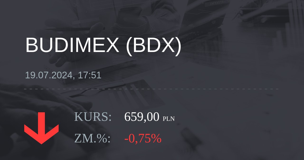 Notowania akcji spółki Budimex z 19 lipca 2024 roku