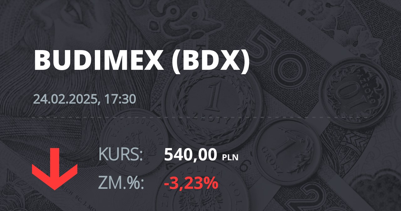 Notowania akcji spółki Budimex z 24 lutego 2025 roku