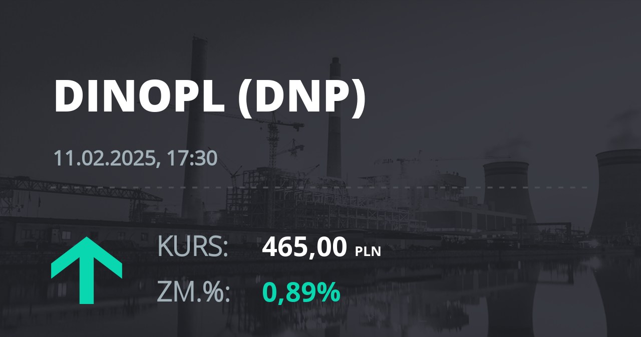 Notowania akcji spółki Dino z 11 lutego 2025 roku