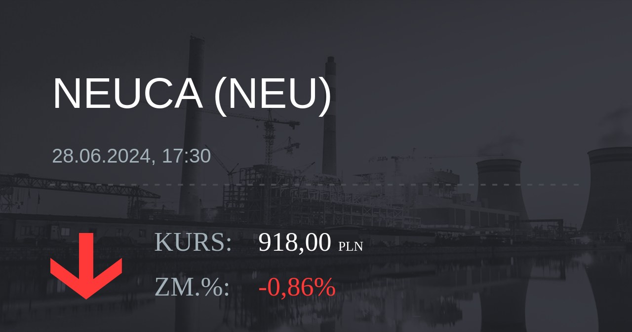 Notowania akcji spółki Neuca z 28 czerwca 2024 roku