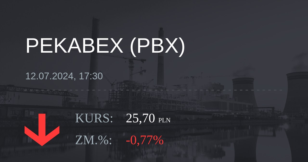 Notowania akcji spółki Pekabex z 12 lipca 2024 roku