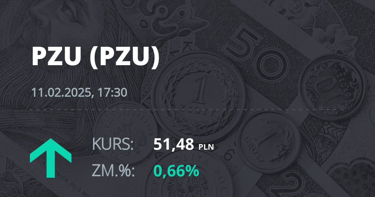 Notowania akcji spółki PZU z 11 lutego 2025 roku