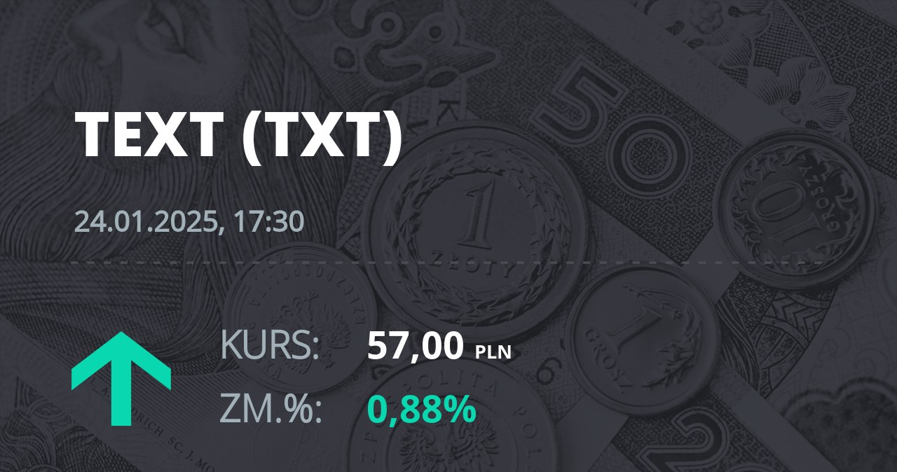 Notowania akcji spółki Text S.A. z 24 stycznia 2025 roku