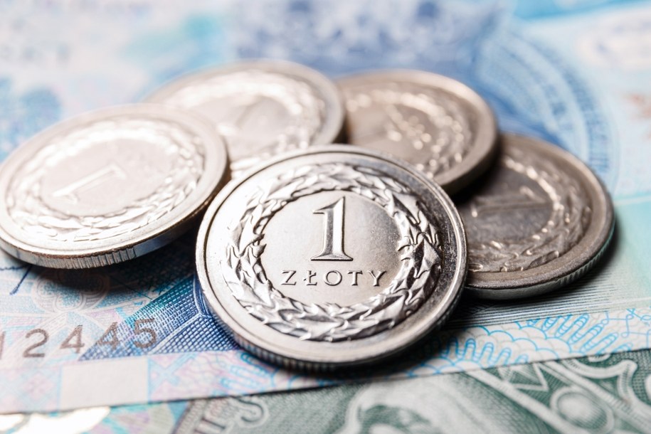 Notowania walut, złoty słabnie /Shutterstock