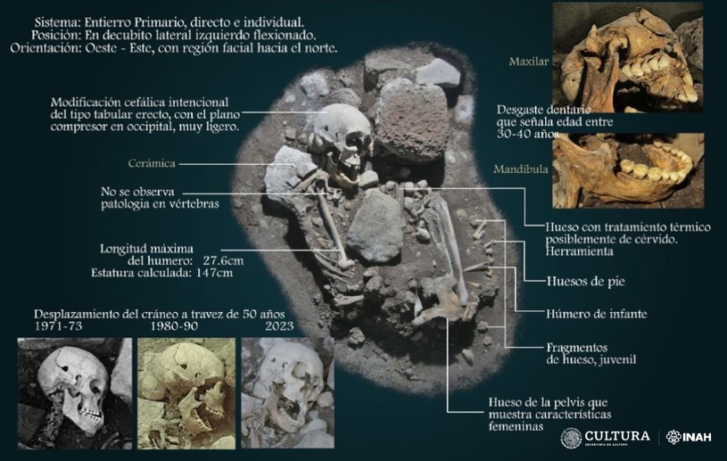 Nowa analiza szczątków z Meksyku wskazała, że należały one do kobiety. Wskazują na to między innymi jej czaszka i miednica /Instituto Nacional de Antropología e Historia (INAH) /materiał zewnętrzny