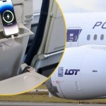 przewoźnik lotniczy