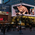 Nowa atrakcja w centrum Warszawy. Kot 3D podbija media społecznościowe