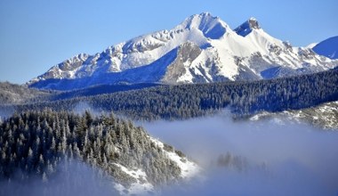 Nowa atrakcja w Tatrach. Ekskluzywne zwiedzanie bryczką konną