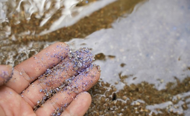 Nowa broń przeciw mikroplastikowi: Świecące bakterie