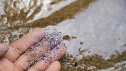 Nowa broń przeciw mikroplastikowi: Świecące bakterie