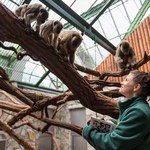 Nowa dyrektor wrocławskiego zoo. Konkurs rozstrzygnięty
