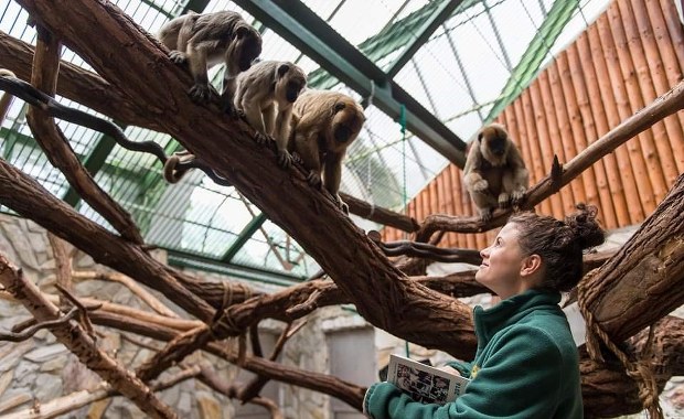 Nowa dyrektor wrocławskiego zoo. Konkurs rozstrzygnięty