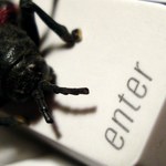 Nowa fala ataków robaka Gumblar