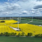 Nowa farma wiatrowa Grupy Polsat Plus i ZE PAK. Prąd już popłynął do sieci