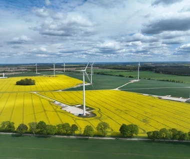 Nowa farma wiatrowa Grupy Polsat Plus i ZE PAK. Prąd już popłynął do sieci