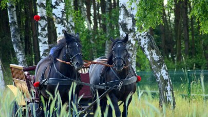 Nowa Góra: Wypadek podczas szkolnej wycieczki. Sześcioro dzieci rannych