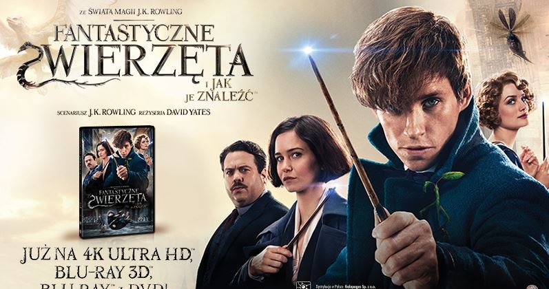 Nowa historia ze świata magii, już na DVD i Blu-ray /materiały prasowe