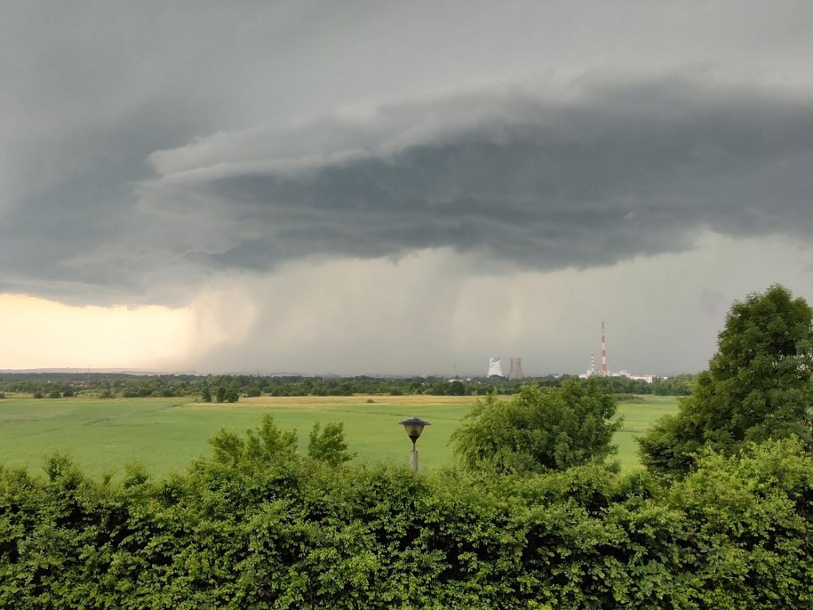 Nowa Huta Łąki Nowohuckie. Fot. Joanna Śliwa /Gorąca Linia RMF FM