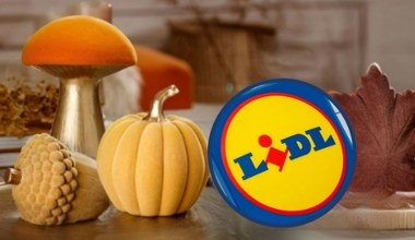 Nowa kolekcja, która skradnie serca! Jesienne dekoracje od czwartku w Lidlu