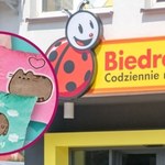 Nowa kolekcja Pusheen w Biedronce! Urocze gadżety już od 10 zł 