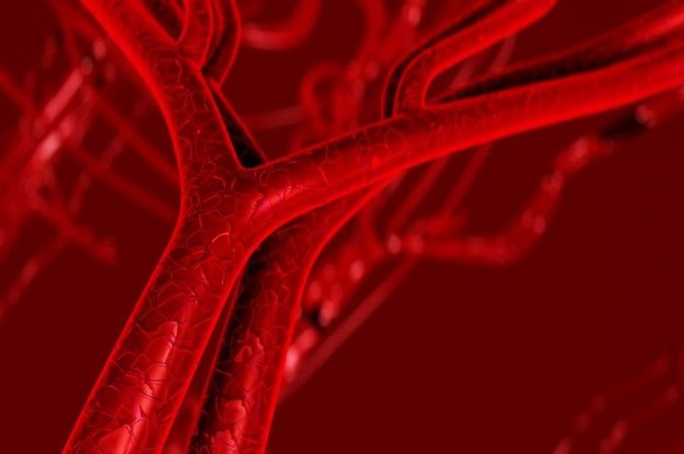 Nowa metoda leczenia uszkodzonych naczyń krwionośnych wykorzystuje nanocząstki /123RF/PICSEL