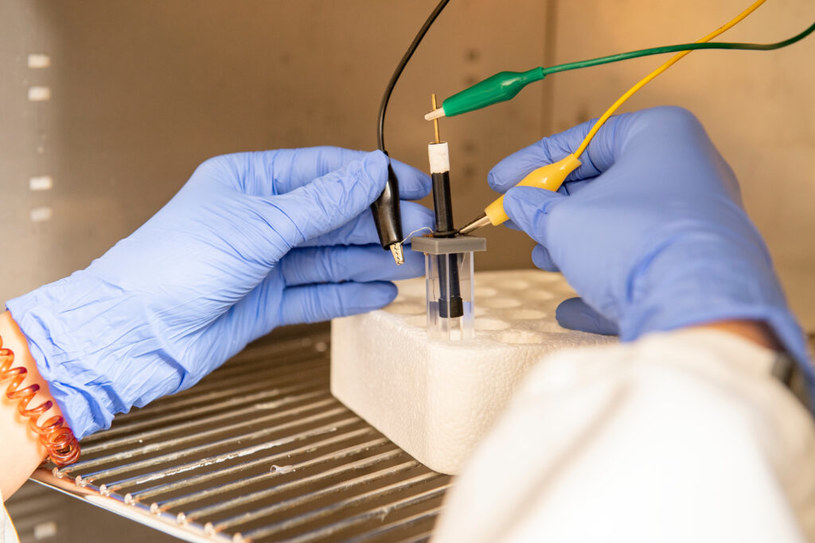 Nowa metoda ma szansę zastąpić wielodniowe testy w laboratorium  - Washington State University /materiały prasowe