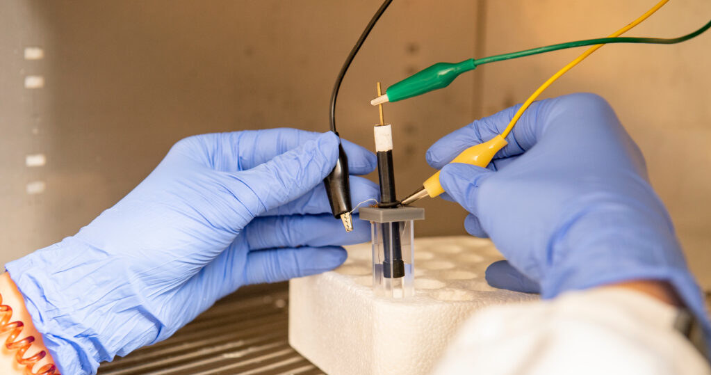 Nowa metoda ma szansę zastąpić wielodniowe testy w laboratorium  - Washington State University /materiały prasowe