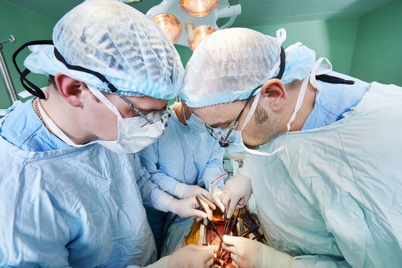 Nowa metoda pozwoli na błyskawiczne hodowanie narządów do przeszczepów /123RF/PICSEL