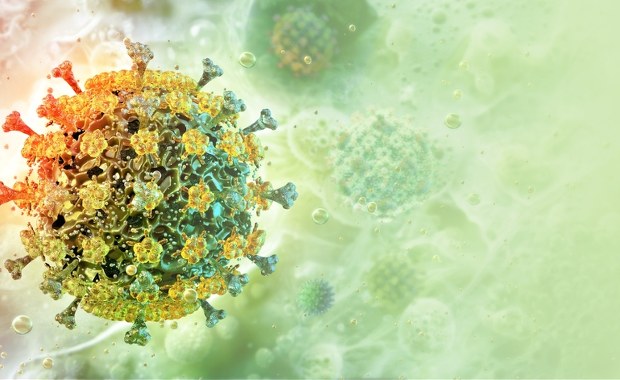 Nowa pandemia na horyzoncie? Eksperci ostrzegają przed groźnymi mutacjami