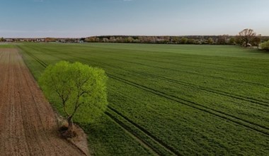 Nowa platforma mLeasingu wesprze firmy na każdym etapie zielonej transformacji