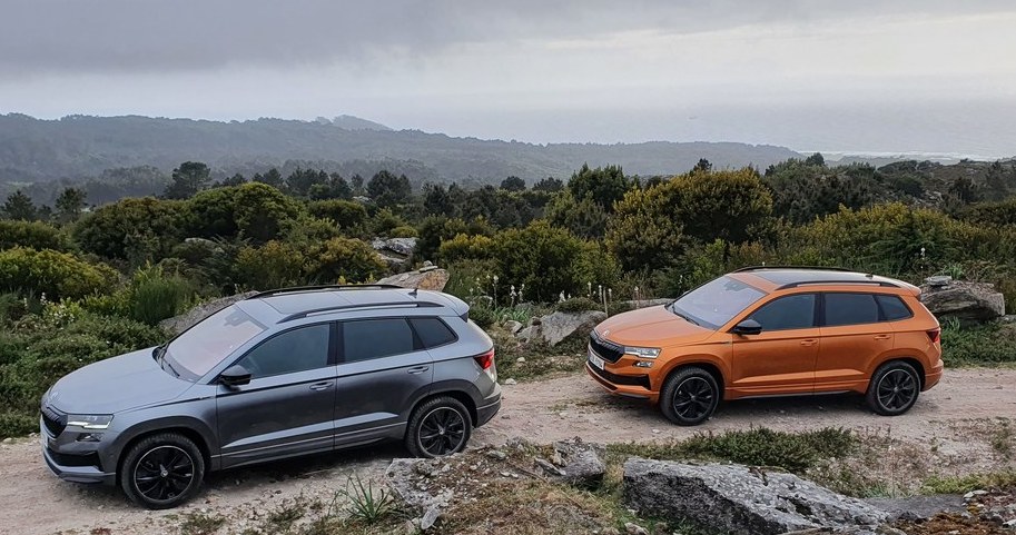 Nowa Skoda Karoq – poznaliśmy oficjalne ceny /Michał Domański /INTERIA.PL