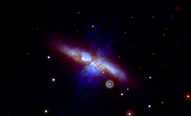 Nowa supernowa uchwycona przez satelitę Swift /NASA