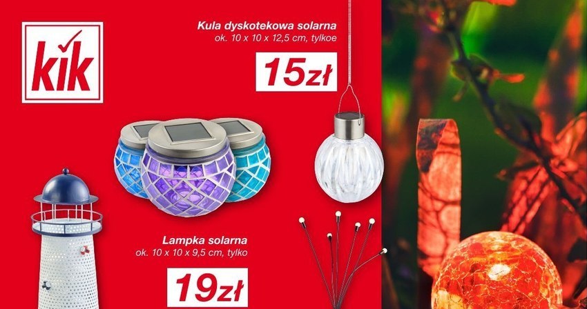 Nowa suszarka do włosów z KiK wygląda jak sprzęt premium. Cena? Zaskakuje! /KiK /INTERIA.PL
