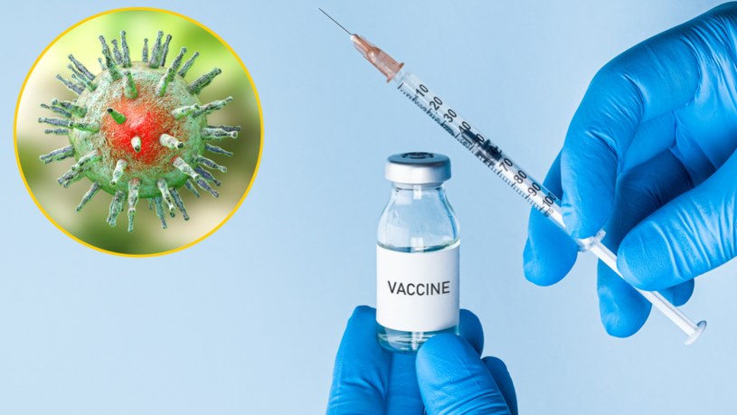 Nowa szczepionka wytwarza silną odporność komórkową i humoralną w trakcie pierwotnej i utajonej infekcji EBV /123RF/PICSEL