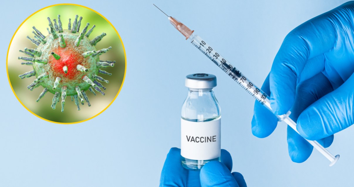 Nowa szczepionka wytwarza silną odporność komórkową i humoralną w trakcie pierwotnej i utajonej infekcji EBV /123RF/PICSEL